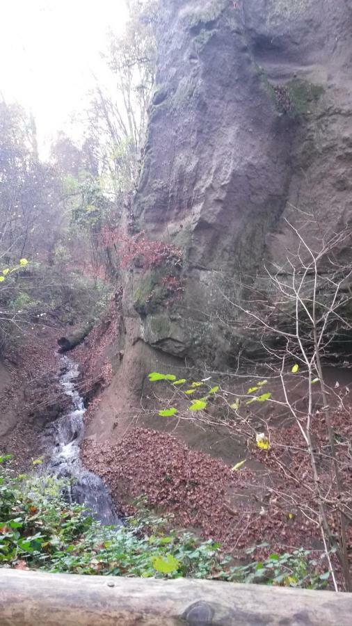 Ferienwohnung-Malanders Andernach Esterno foto